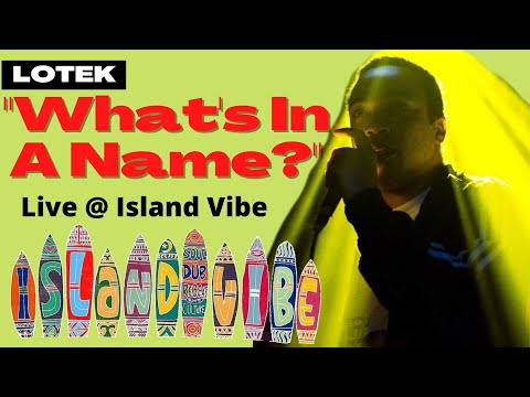 Wayne Lotek (Lotek HiFi)  @ Island Vibe 2009