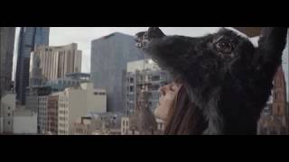 Coil - Tenderness of Wolves