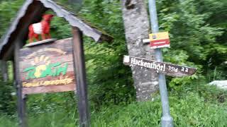 Live-Video: Dauerregen im Forststraßen-Labyrinth