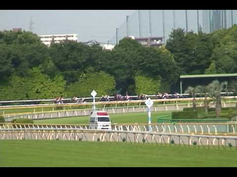 2010 60th 安田記念 ショウワモダン YASUDA MEMORIAL SHOWA MODERN 昭和現代