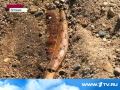 Эстонские археологи откопали ладью с останками викингов Первый канал 