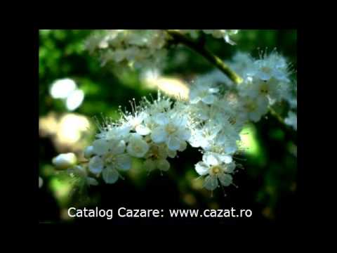 Cazare Calugari, Bihor - Cazat.ro