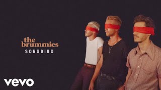 Kadr z teledysku Songbird tekst piosenki The Brummies