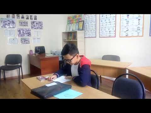 Aibar's sentences in past simple- 1