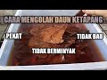 Cara Mengolah Daun Ketapang Untuk Ikan Hias