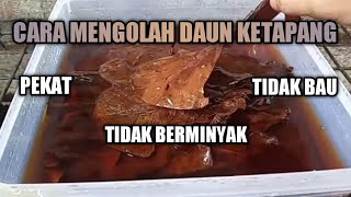 Download lagu How to Process Ketapang Leaves So They're Oil-Free, Odor-Free, and Thick for Fish mp3