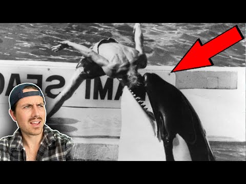 Top 3 places you CAN'T GO & people who went anyways... | Part 10