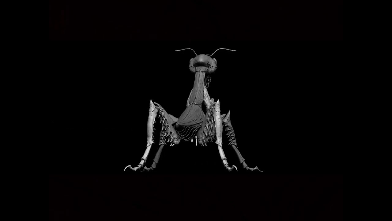 Thumbnail for testing title