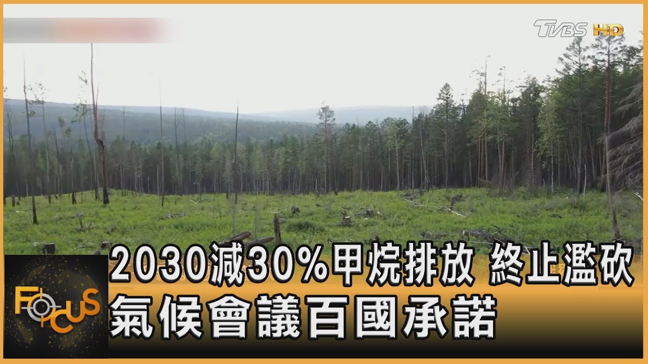 2030減30%甲烷排放、終止濫伐 百國承諾