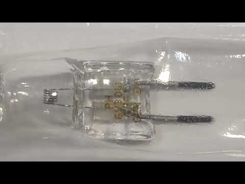 Philips Halogen Lamps 7158 xhp low voltage lamp