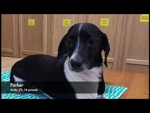 05.04.2019 Texas Transport 1