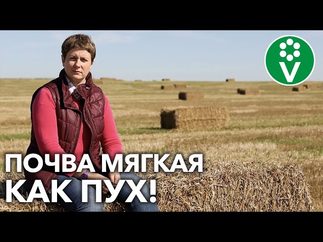 А ВЫ ЗНАЛИ? ОБЫЧНАЯ СОЛОМА ПРЕВРАТИТ ПОЧВУ В ИДЕАЛЬНУЮ!
