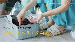 自給自足への第一歩!? どん底女、ベランダ菜園を始める。|たくさんの贈り物|自作焼きいもスイーツ【バンコク暮らしの日常Vlog】