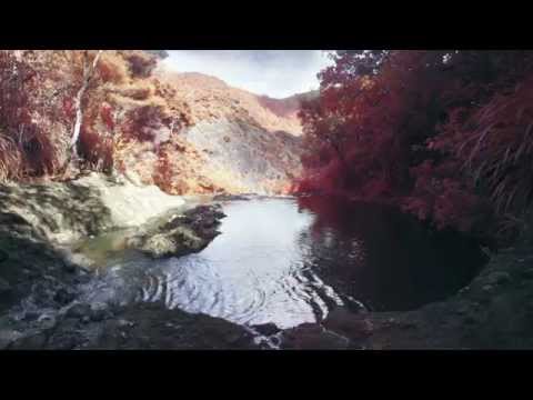 New Channel 4 Brand Identity | Compilation