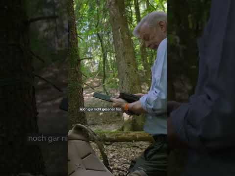 Dem Wolf auf der Spur #ykollektiv