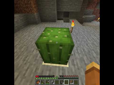 I died in the most unexpected way in Minecraft...