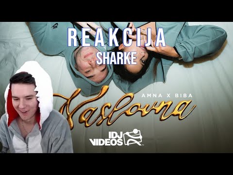 SHARKE REAKCIJA NA BIBA x AMNA - NASLOVNA