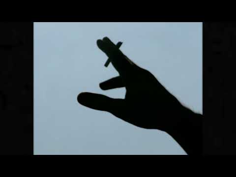 Il Regno Animale - Andrea Laszlo De Simone