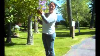 I ONLY WANT TO BE WITH YOU - Shelby Lynne