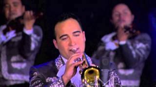 Ricardo Torres y su mariachi - Trompetas
