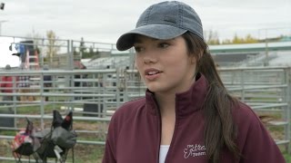 Georgie's Memorable Moment | Alisha Newton | Heartland 1002 | CBC