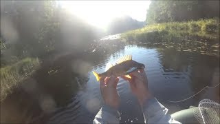 Отчеты о рыбалке на реке саба