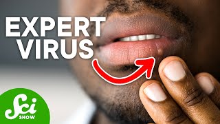 Why Herpes Is the Most Talented Virus Ever