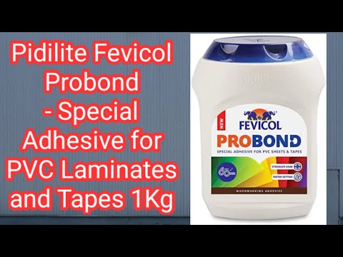 50 Kg Fevicol Speedx Adhesive
