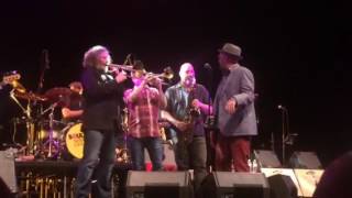 Looking for a Love - Southside Johnny and the Asbury Jukes (feat. Jeff Kazee)