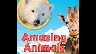 AMAZING ANIMALS Journeys AR Read Aloud First Grade Lesson 22