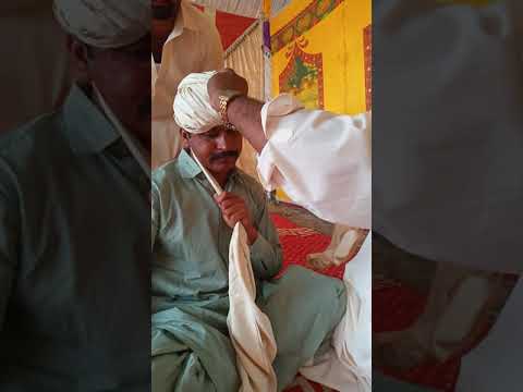 Kamil khan keeryo  Gupchani sahab khe Sindhi PATKO badhaindy