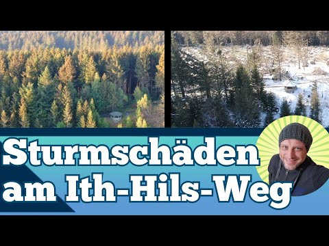 Sturmschäden am Ith Hils Weg - Kein Durchkommen am Ith-Hils-Weg - Sturm Ylenia und Sturm Zeynep