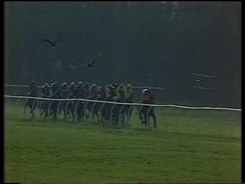 1991 Queen's Prize (Handicap)