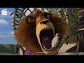 Madagascar 10 10 Alex Tries Sushi Cartoon For Kids