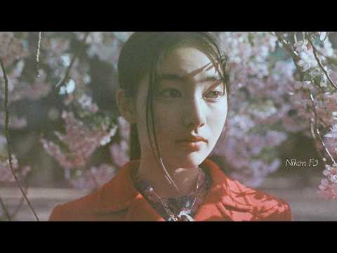 니콘의 황금기 : 니콘 F3 리뷰