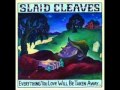 Slaid Cleaves Its hard to believe