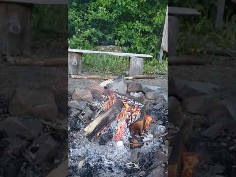 How to roast perfect S'MORES