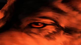 The boy who cried wolf