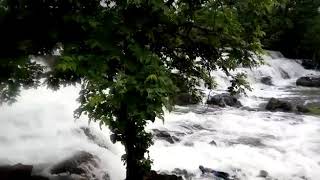 preview picture of video 'The best falls in India(mp) the beauty of India must watch'