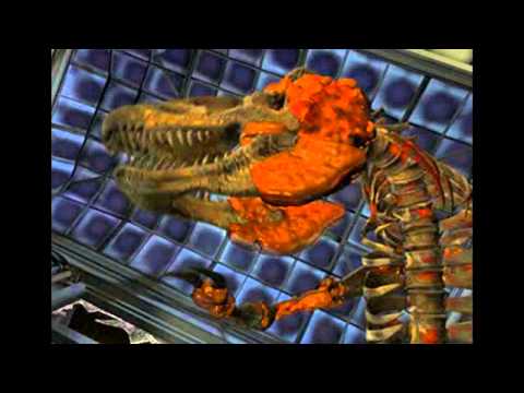 Parasite Eve 1 pt 20/26