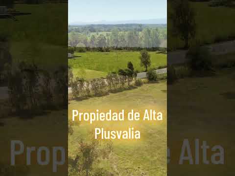 Se Vende 10 Hectareas Comuna Puyehue Sector la Capilla Osorno Region de los Lagos agenda tu visita