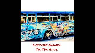 s Videos Collections 2021  Bus Tik Tok Collections