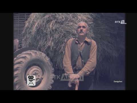 Arkivi - Emigrimi  31.10.2022