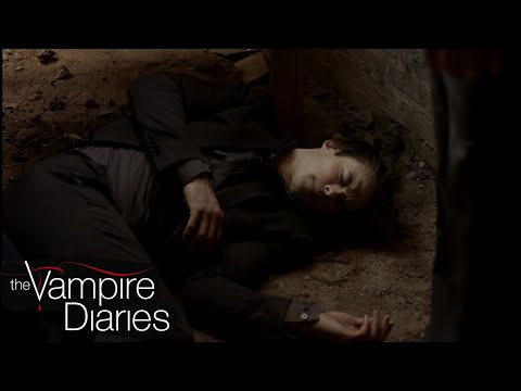 Stefan gives vervain to damon to make him sick s01ep04 | The vampire diaries