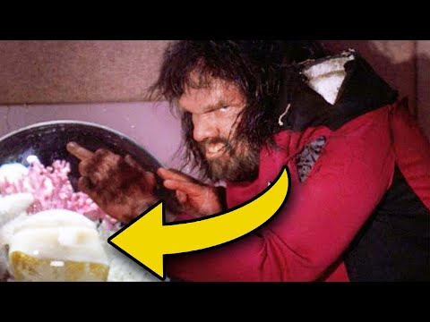 10 Tiny Details In Star Trek You Might Have Missed The First Time