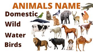 Domestic, Wild Animals, Birds Name, water Animals name