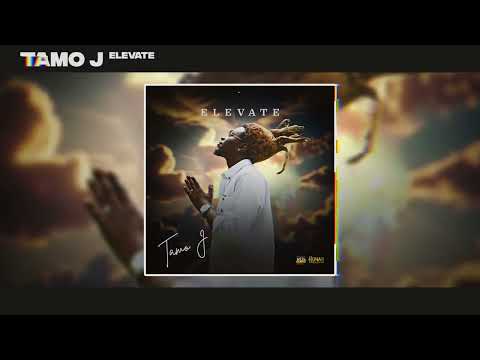 Damage Musiq / Tamo J - Elevate (Human Endeavor Riddim)