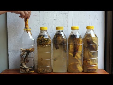 Boost Your Garden Naturally: DIY Banana Peel Fertilizer Guide