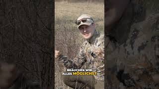 Fasane Lieben DIESE Dornen-Verstecke! Schutz &amp; Futter Perfekt! #shorts