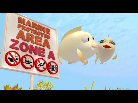 Marine Protected Areas short animation movie: Zoe adventures